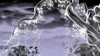 水族毒蛇爆料视频大全,惊心动魄的爆料视频大全 第3张 水族毒蛇爆料视频大全,惊心动魄的爆料视频大全 第3张